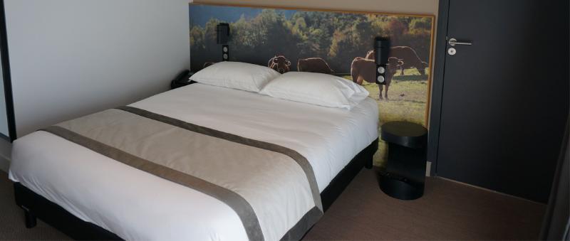 The Originals Relais Hotel Saint-Roch Salzuit Extérieur photo